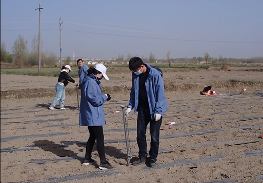 “三抓三促”行動(dòng)進(jìn)行時(shí) | 上下一心謀營銷　 全力以赴促業(yè)績——敦煌種業(yè)種子營銷分公司落實(shí)“三抓三促行動(dòng)”紀(jì)實(shí)
