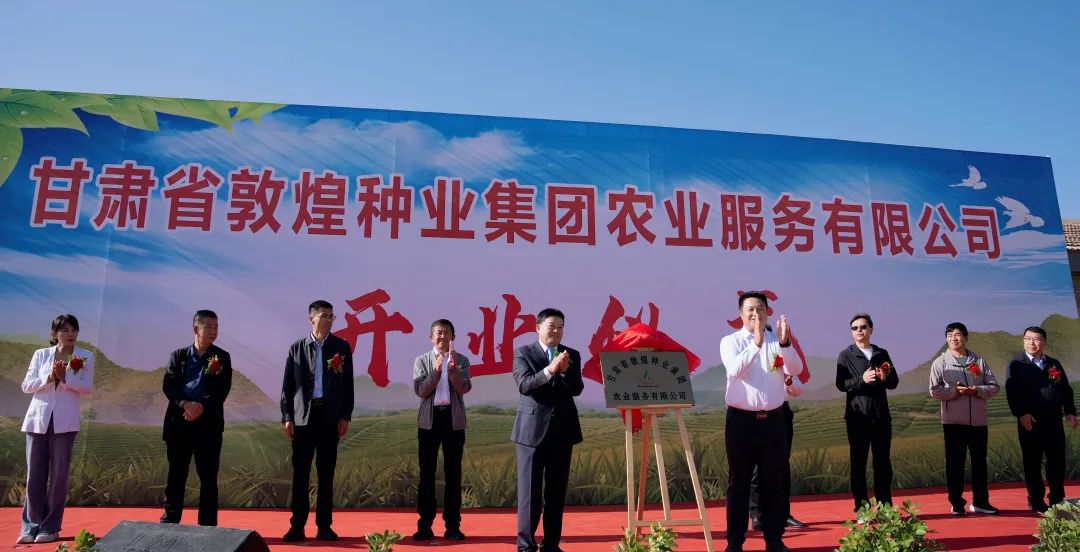 推進制種玉米機械采收 給敦煌種業(yè)振興插上科技的翅膀 —— 敦煌種業(yè)農業(yè)服務有限公司隆重開業(yè) 召開機械化采收演示會